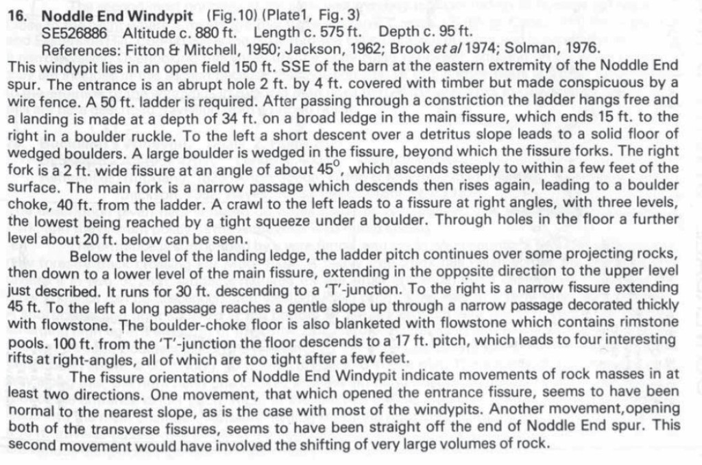 BCRAT3-noddle2