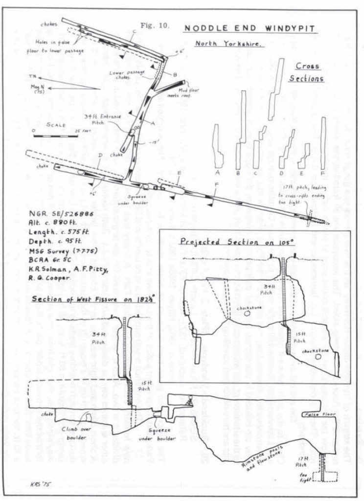 BCRAT3-noddle3